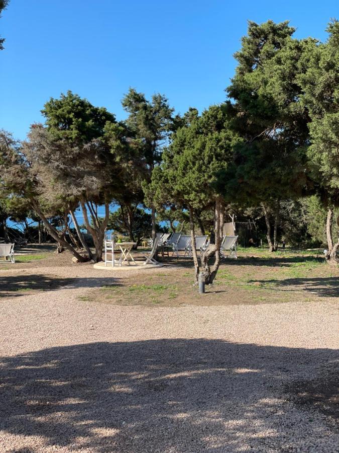 Meridium Formentera By Tentol Hotels بلايا ميجورن المظهر الخارجي الصورة