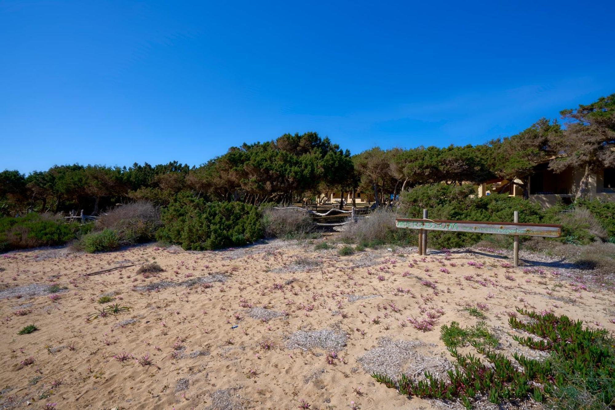 Meridium Formentera By Tentol Hotels بلايا ميجورن المظهر الخارجي الصورة