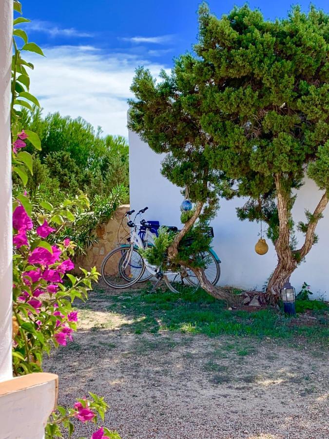 Meridium Formentera By Tentol Hotels بلايا ميجورن المظهر الخارجي الصورة